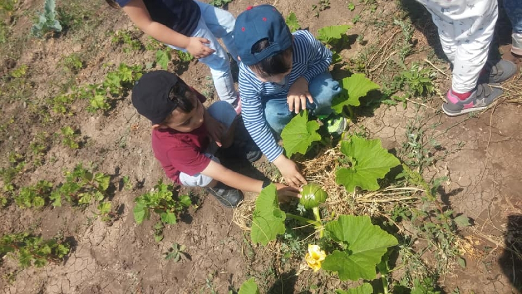 Çocuk Köyü 2020 Galerisi  Rastgele Fotoğraf