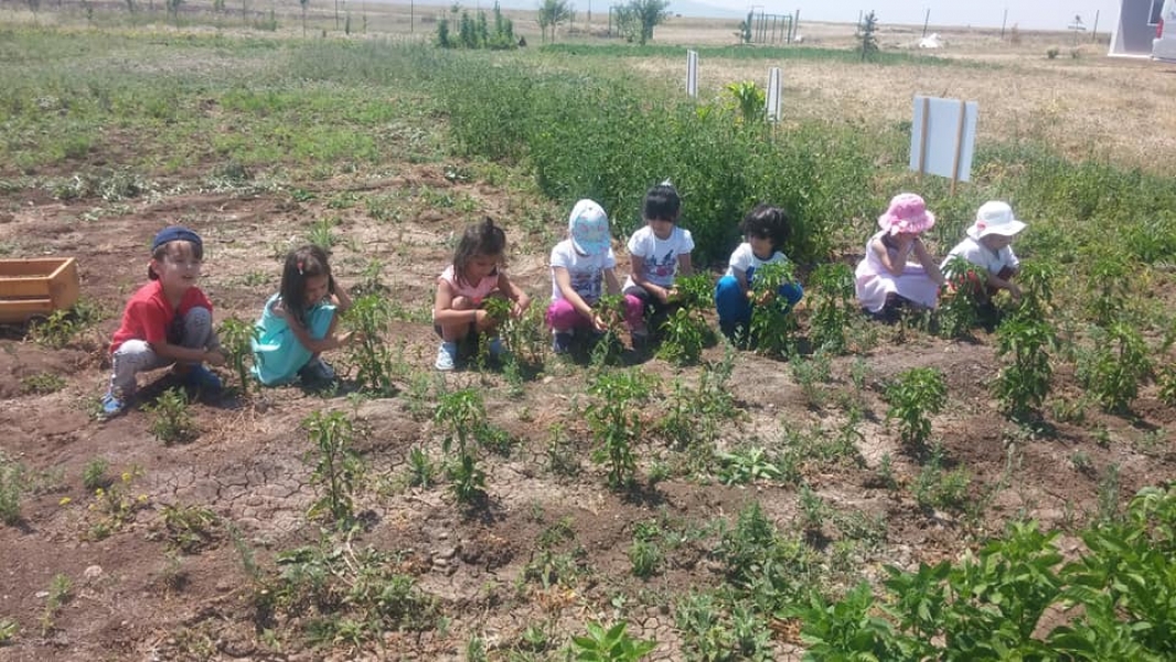 Çocuk Köyü 2020 Galerisi  Rastgele Fotoğraf