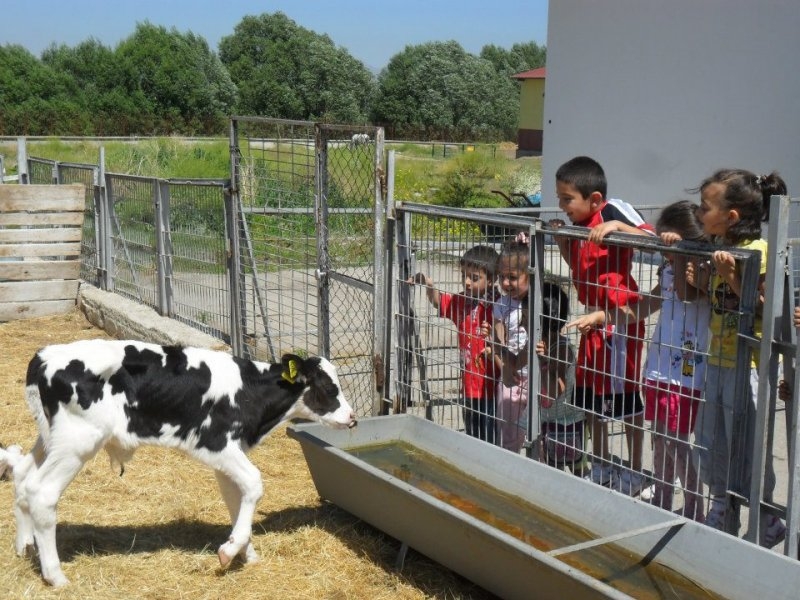 2012-2013 Eğitim Yılı Galerisi Rastgele Fotoğraf