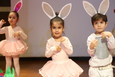   Fotoğraf 271 