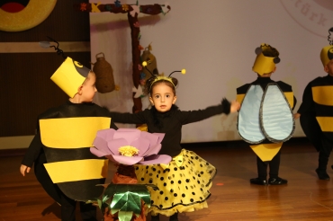   Fotoğraf 284 