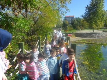   Fotoğraf 32 