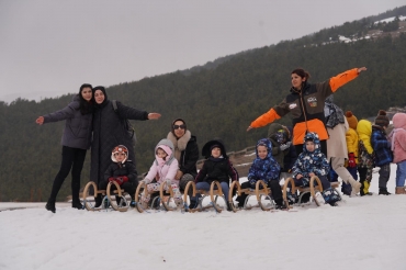   Fotoğraf 409 