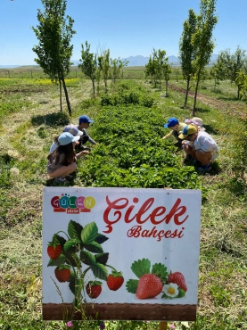  Çocuk köyünde ilk hasat Fotoğraf 464 
