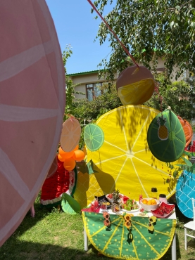  Meyve şenliği Fotoğraf 479 