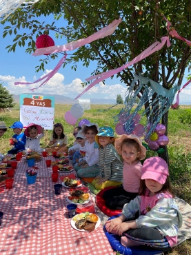   Fotoğraf 483 