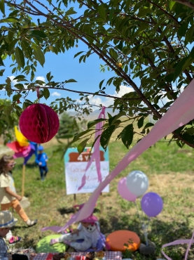   Fotoğraf 488 